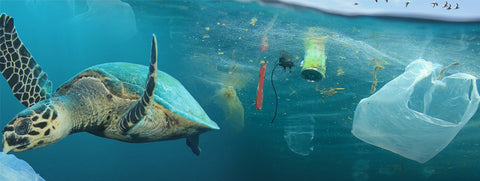 'Drowning in Plastic' - the must see Film